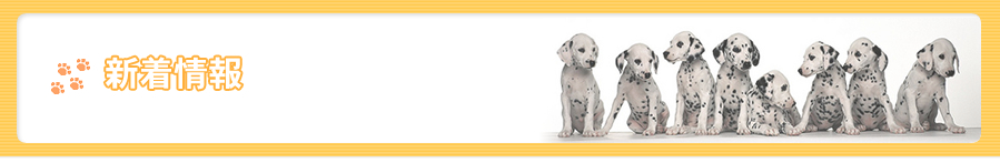 旭川犬の学校　新着情報
